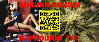 СК Краснознаменск