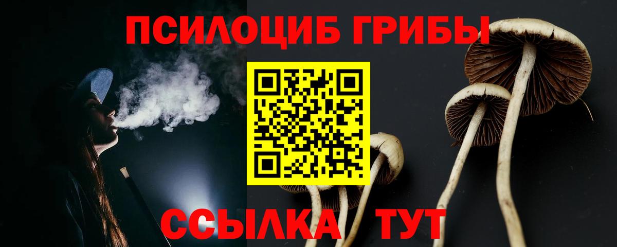Псилоцибиновые грибы GOLDEN TEACHER  Галлюциногенные грибы прущие грибы  Красногорск  Вход с VPN 